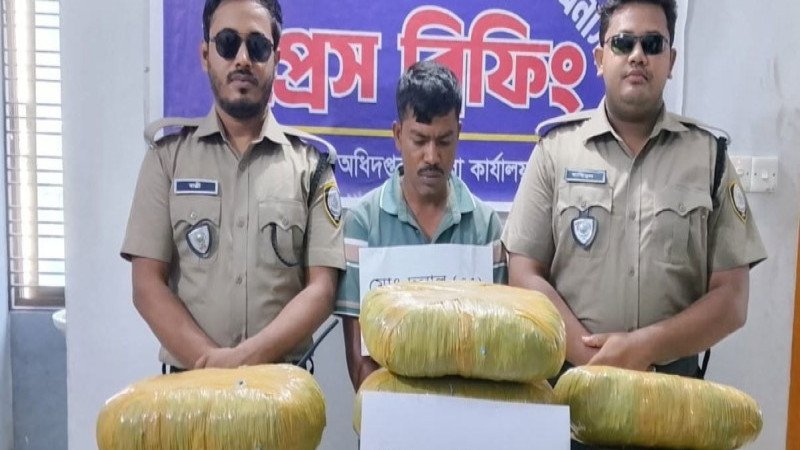 জামালপুরে ২০ কেজি গাঁজাসহ মাদক কারবারি দুলাল আটক
