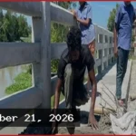 টাঙ্গাইলে ১০ কোটি টাকার ব্রিজে রডের বদলে বাঁশ, তোলপাড়