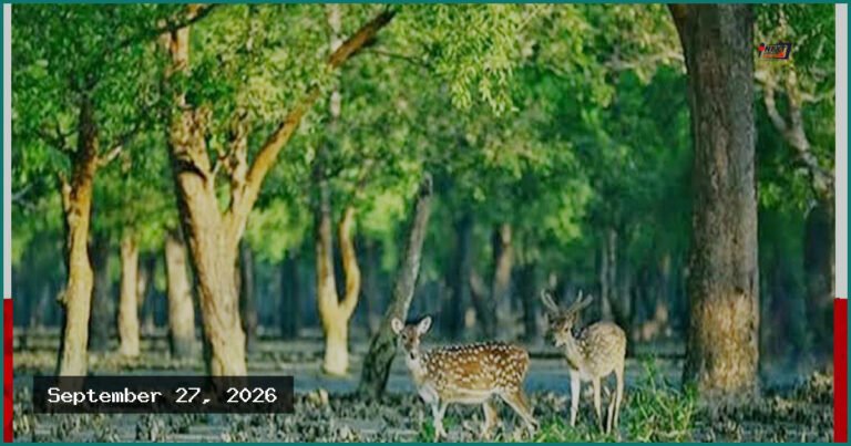 বিশ্ব পর্যটন দিবস: বাংলাদেশের পর্যটন খাতে নতুন সম্ভাবনার হাতছানি