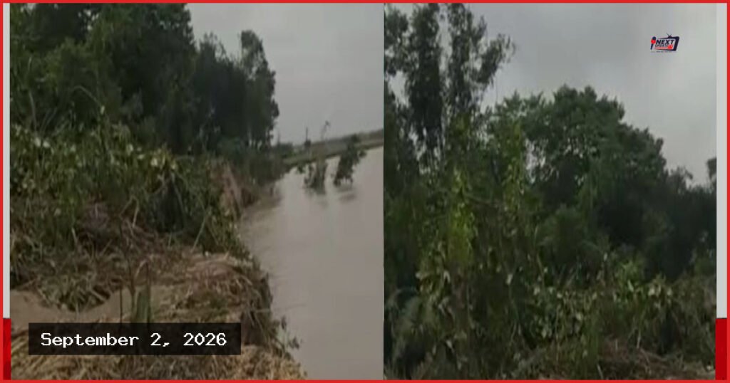 নাটোরে পদ্মার ভাঙনে সুলতানপুর চরের ৩০ পরিবারের বসতভিটা বিলীন