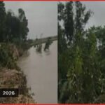 নাটোরে পদ্মার ভাঙনে সুলতানপুর চরের ৩০ পরিবারের বসতভিটা বিলীন