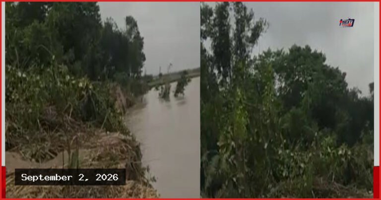 নাটোরে পদ্মার ভাঙনে সুলতানপুর চরের ৩০ পরিবারের বসতভিটা বিলীন