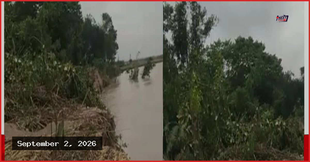নাটোরে পদ্মার ভাঙনে সুলতানপুর চরের ৩০ পরিবারের বসতভিটা বিলীন