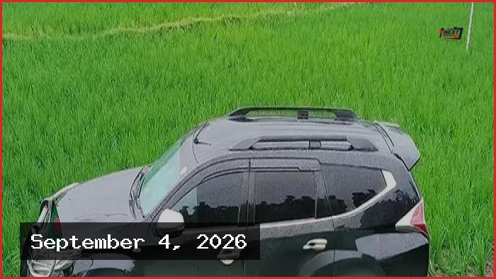 বগুড়ায় নিয়ন্ত্রণ হারিয়ে ধানক্ষেতে প্রতিমন্ত্রীর গাড়ি, আহত ৩