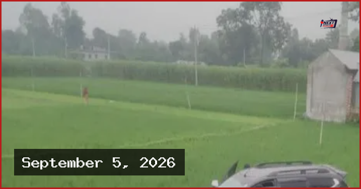 বগুড়ায় নিয়ন্ত্রণ হারিয়ে ধানক্ষেতে খাদ্য প্রতিমন্ত্রীর গাড়ি