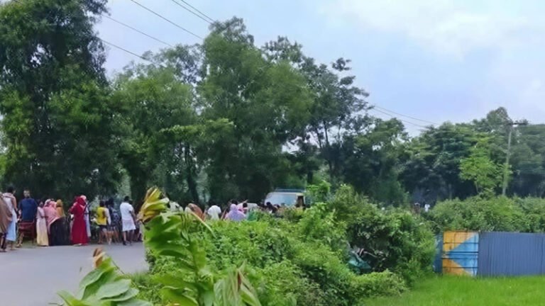 গাজীপুরে কাভার্ডভ্যান ও সিএনজি সংঘর্ষে নিহত ২