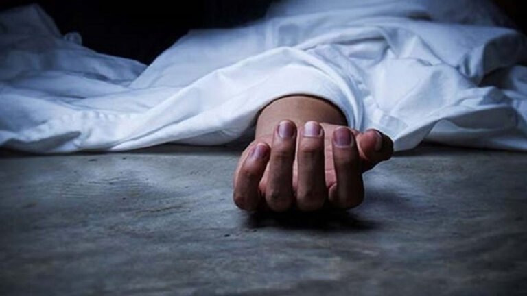 ধানখেতে কীটনাশক ছিটাতে গিয়ে সাপের কামড়ে ব্যবসায়ীর মৃত্যু