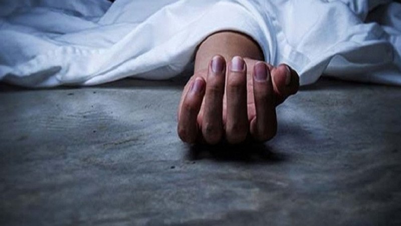 ধানখেতে কীটনাশক ছিটাতে গিয়ে সাপের কামড়ে ব্যবসায়ীর মৃত্যু