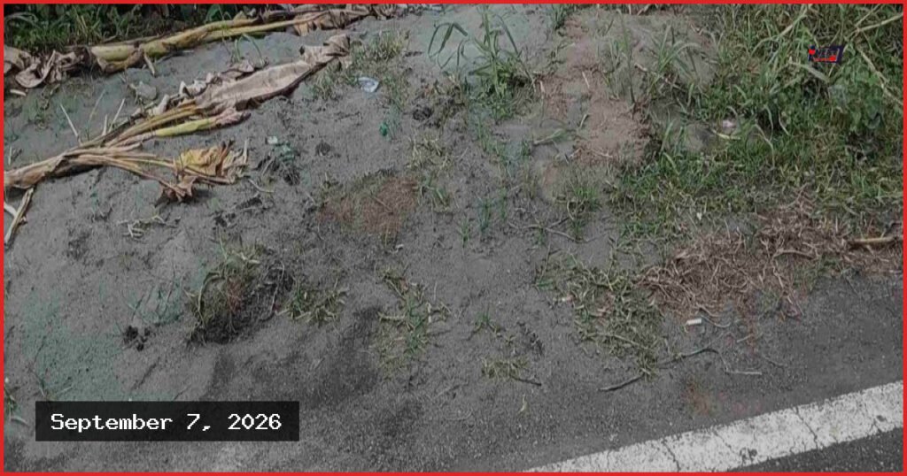 ভোলার বোরহানউদ্দিনে মহাসড়ক ফুটো করে ড্রেজারের পাইপ স্থাপন
