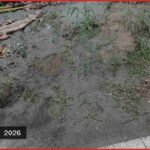 ভোলার বোরহানউদ্দিনে মহাসড়ক ফুটো করে ড্রেজারের পাইপ স্থাপন