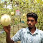 তরমুজ চাষে সফল দিনাজপুরের মাদ্রাসা ছাত্র মিনহাজ