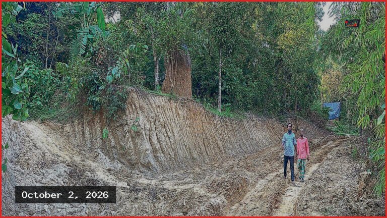 চকরিয়ায় সংরক্ষিত বনে পাহাড় কেটে সড়ক, কাজ চলছে নিষেধাজ্ঞার পরও