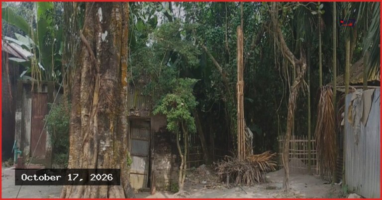 গঙ্গাচড়ায় ভুয়া পূজামণ্ডপের নামে সরকারি চাল আত্মসাতের অভিযোগ
