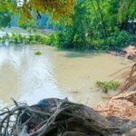 নলছিটিতে খায়রাবাদ নদীর তীব্র ভাঙনে দিশেহারা শতাধিক পরিবার