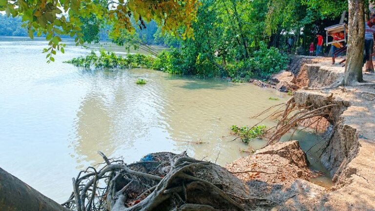 নলছিটিতে খায়রাবাদ নদীর তীব্র ভাঙনে দিশেহারা শতাধিক পরিবার