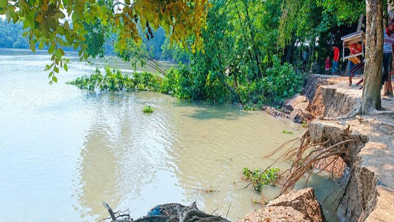 নলছিটিতে খায়রাবাদ নদীর তীব্র ভাঙনে দিশেহারা শতাধিক পরিবার