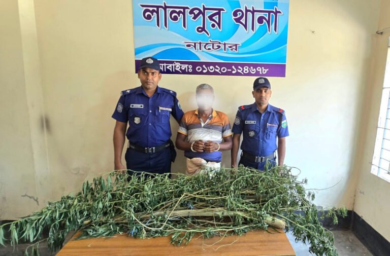 নাটোরের লালপুরে গাঁজা গাছসহ এক ব্যক্তি আটক