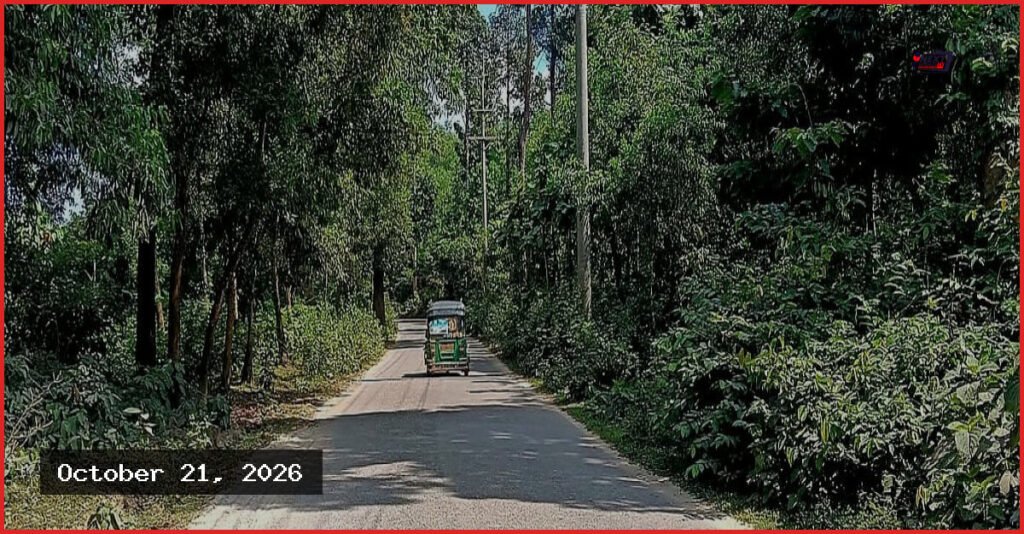 কক্সবাজারের ঈদগাঁও-ঈদগড় সড়কে ডাকাতি, সন্ধ্যা নামলেই বন্ধ যান চলাচল