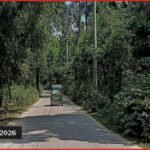 কক্সবাজারের ঈদগাঁও-ঈদগড় সড়কে ডাকাতি, সন্ধ্যা নামলেই বন্ধ যান চলাচল