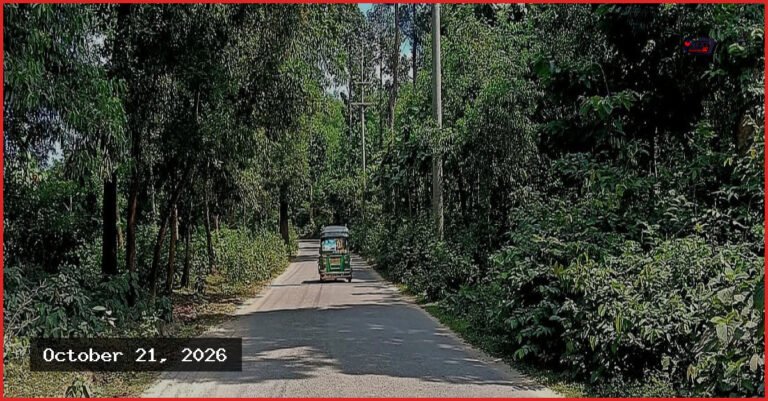 কক্সবাজারের ঈদগাঁও-ঈদগড় সড়কে ডাকাতি, সন্ধ্যা নামলেই বন্ধ যান চলাচল