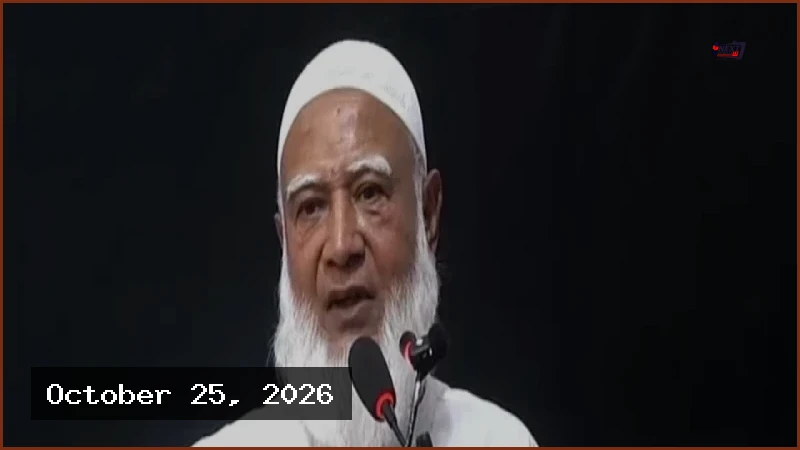 সরকার ব্যর্থতা ঢাকতে বিরোধী দলের বিরুদ্ধে অপপ্রচার চালাচ্ছে: শফিকুর রহমান