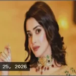তানজিন তিশার বিরুদ্ধে শাড়ি প্রতারণার মামলার তদন্তে সিআইডি